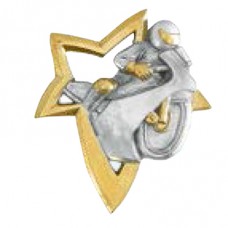 Aplique Estrela Dourada - Motociclismo